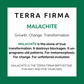 Malachite stone information card